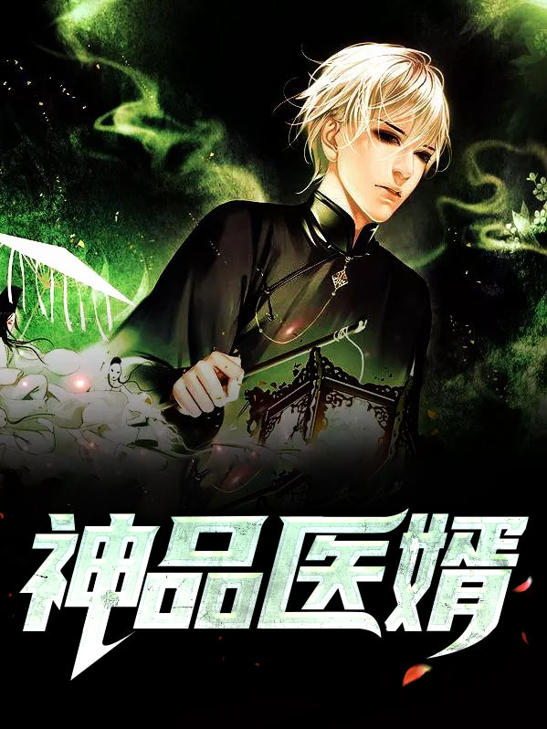 小说神品医婿