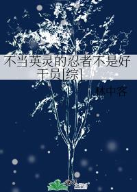 不当英雄很久了动漫
