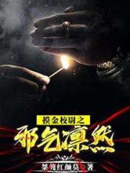 摸金校尉小说全集免费