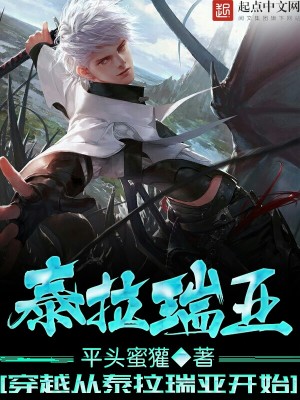 穿越从泰拉瑞亚开始 小说