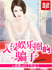 入侵娱乐圈小说