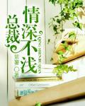 总裁,情深不浅
