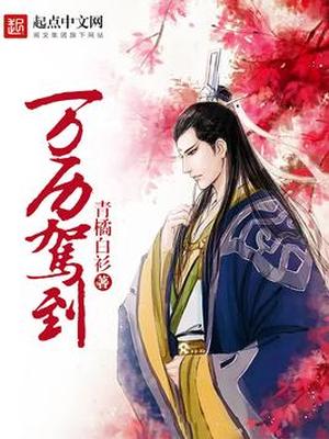 万历驾到小说