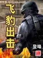 飞豹出击精校版