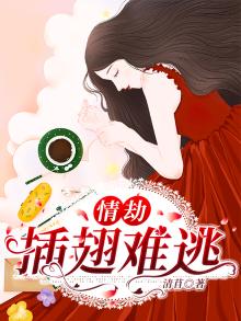 插翅难逃抢运钞车