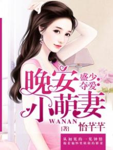 女主叫盛晚安的小说