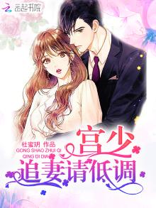 小说宫少追妻请低调免费阅读