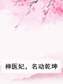 神医傻妃名动天下完整版