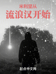 小说 美利坚