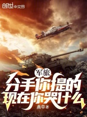 军旅:分手你提的,现在你哭什么 章
