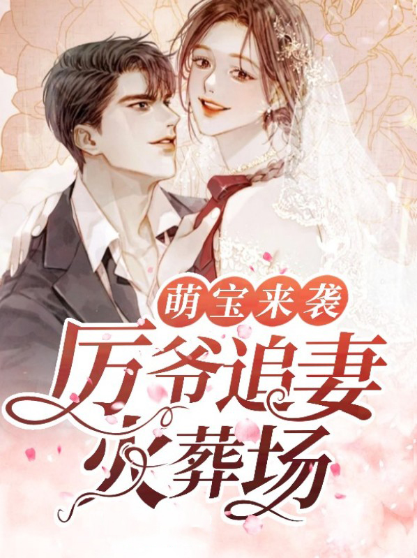 萌宝来袭电视剧免费观看