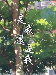 是我还是我