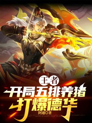 王者怎么回事