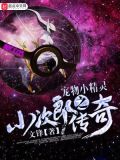 宠物小精灵之小次郎新传