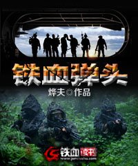 铁血弹头TXT八零下载
