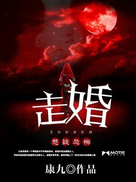 走婚小说