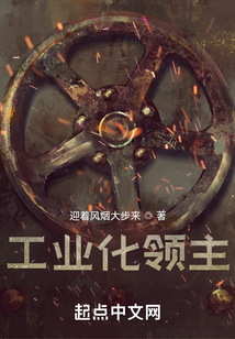 工业化领主 小说