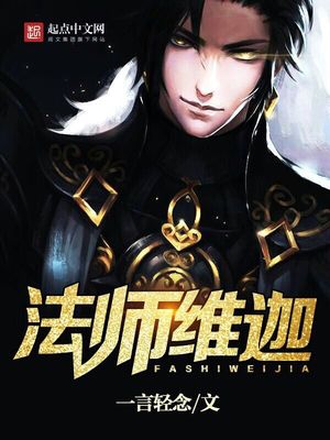 法师维迦小说