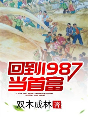 回到1987当首富 双木成林
