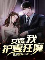 护妻狂婿听书