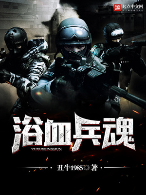 浴血兵魂TXT下载