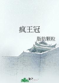 疯王冠 小说