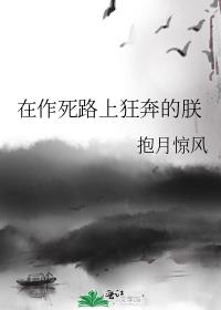 在作死路上狂奔的朕小说