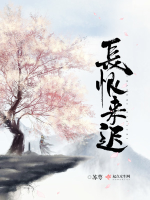 长恨什么