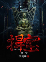 捍宝小说怎么样
