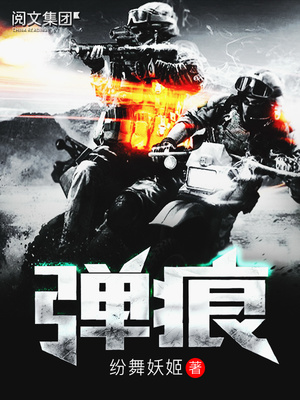 弹痕小说TXT下载