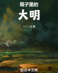 箱子里的大明