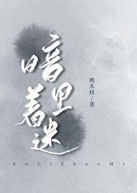 暗里着迷小说