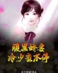 腹黑娇妻,冷少宠不停