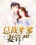 团宠三宝,总裁爹爹妻管严