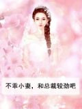 不乖小妻，和总裁较劲吧